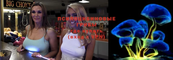МДПВ Богородицк