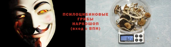 МДПВ Богородицк