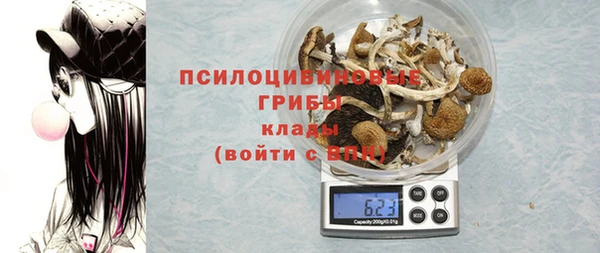 Альфа ПВП Богданович